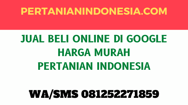 Jual Beli Online Di Google Harga Murah Pertanian Indonesia